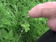 hairy cock pee