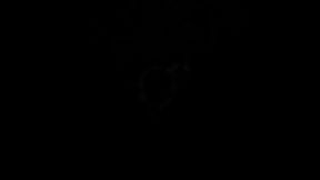 Charles DICKHEADS: HERMIONE GRANGER and the Invisible Visitor