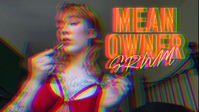 Mean owner bullies and berates you