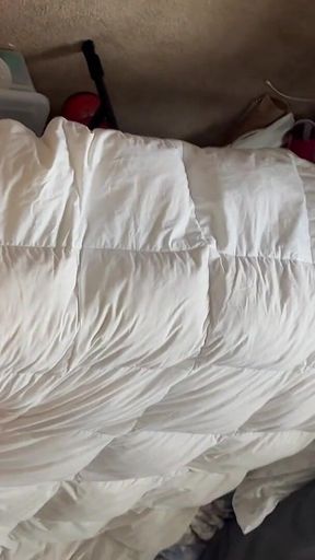 Fucking the Neighbors Wife