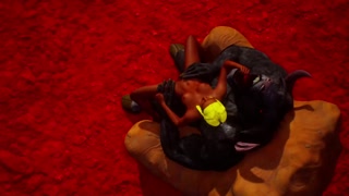 I wanted to sit in the chair, Nofurri monster put me on his horsecock / girl with yellow hair