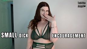 Small Dick Encouragement WMV