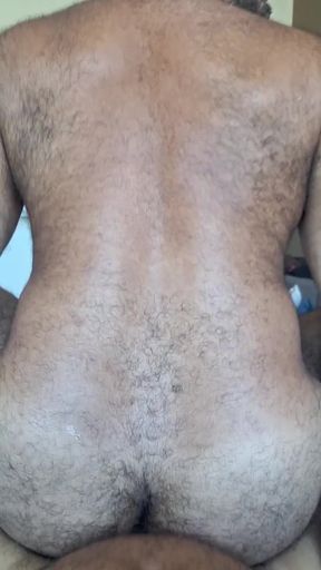 Bearded Stepfather Getting Into the Bear. Bareback and Cumshot