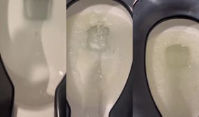 Dane Coxx destroyed in college bar bathroom piss flood