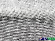 Handsome Gay Dane Barebacked Inked Kaleb After Rimjob