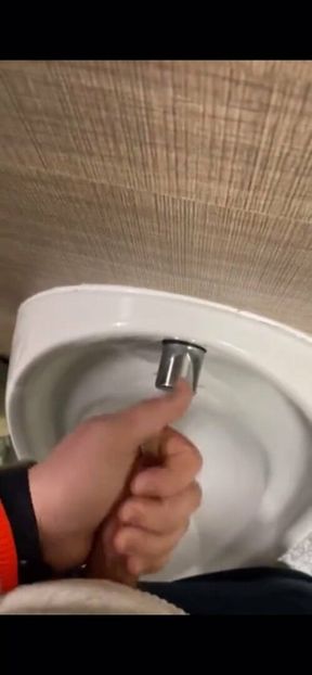 Cruising in public toilets wanking my hard cock