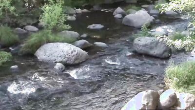 PETERFEVER Jaycee And John Rene Steal Quick Suck During Hike