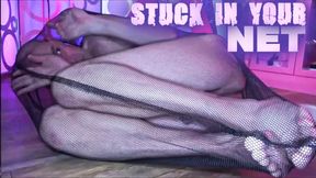 Stuck In Your Net UHD