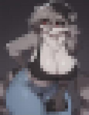 furry raccoon = all you need.