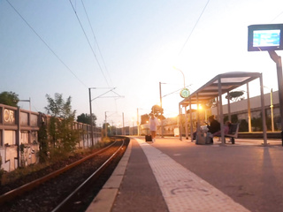 ”Miss Alice Wild tames the pack...”