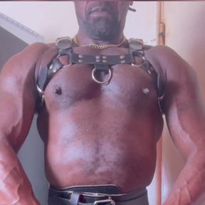 Leather Harness Muscle Flex &amp; Bate Preview
