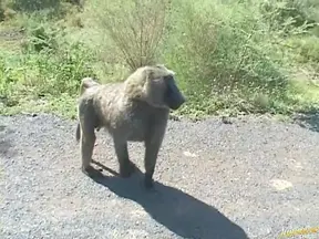 Yui Takashiro Lovely Asian babe gives a blowjob