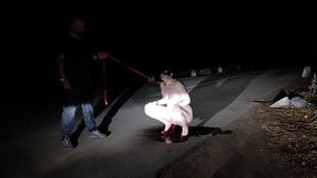 A guy made me suck his cock and piss at the road and then do a public cum walk