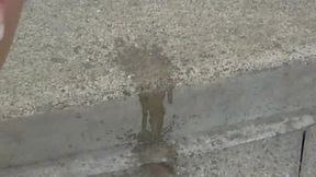 guten tag ich hab vor ihre tur gepisst