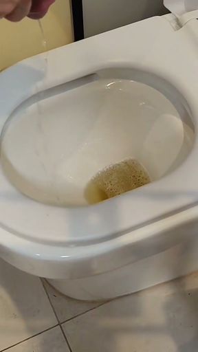 PEE DESPERATION IN COUPLE DIRTY TOILET   Clip 1