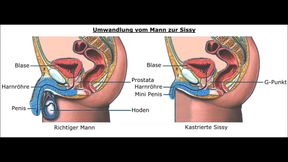 Sissy Geschlechtsumwandlung