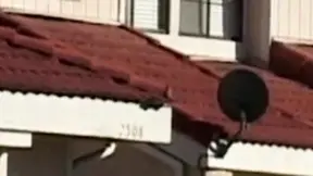 Verlangen geht völlig ab mit jeder Grenze weiter verschoben