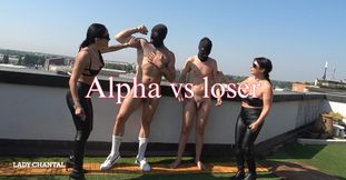 Alpha vs loser