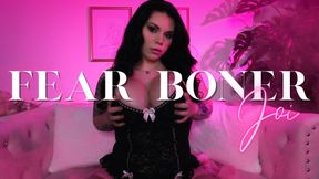 Fear Boner JOI