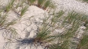 Hot Dilf Nude Beach Big Cock Showing off in the Dunes - Rockardglans