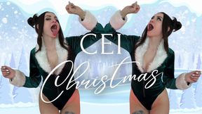 CEI Christmas