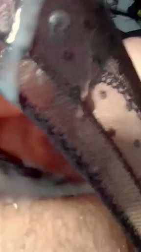 Thick Meaty Cock Cums In Black Lacy Panties - SlugsOfCumGuy   Clip 1