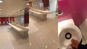 airport toilet