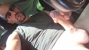 at the edge of a forest path, Remi06cam4