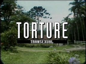 Punishment Transexual (Full porn movie)