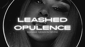 Leashed Opulence