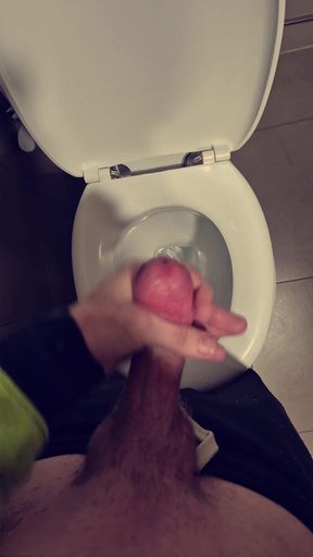 Quick toilet wank
