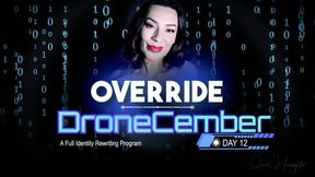 Day 12: Permission Override