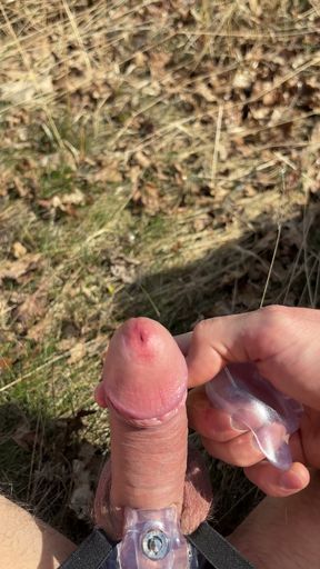 Outdoor micro chasttiy cage release   Clip 1