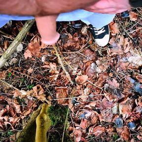 Geiles Pissen beim Waldspaziergang