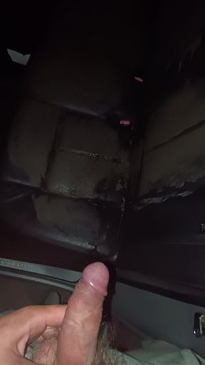 my lovely pissing on muddy car seats
