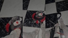 اجي لمك المدلول بوس رجيلات لالاك 👑 my feet 👅