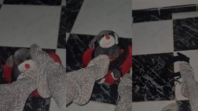 اجي لمك المدلول بوس رجيلات لالاك 👑 my feet 👅