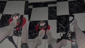 اجي لمك المدلول بوس رجيلات لالاك 👑 my feet 👅