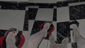 اجي لمك المدلول بوس رجيلات لالاك 👑 my feet 👅