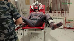 Playing Puppies the First Examination