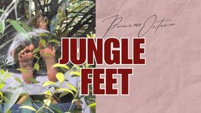 Jungle Feet: Post Foot Massage