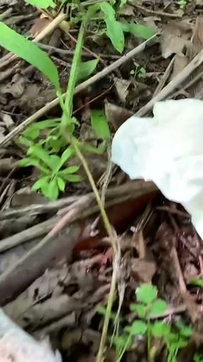 Piss Compilation - German BBW Abby Strange pissing, outdoor   Clip 3