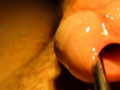 Urethral sounding and stretching with cumshot