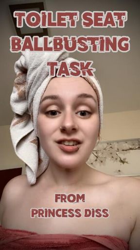 Toilet Seat Ballbusting Task from Princess Diss