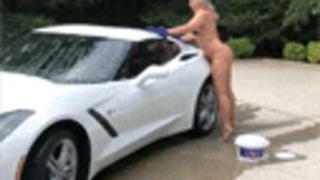 Bikini Washing My Vet (720p)