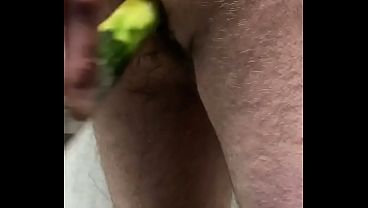 Cucumber anal
