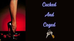 ** Cucked And Caged **