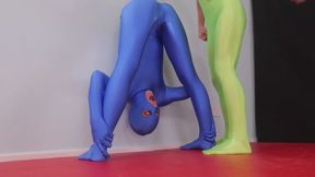 The sentinel #15 ( CATSUIT )