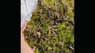 Je tombe sur un randonneur en forêt …