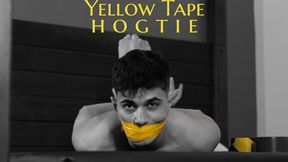 YELLOW TAPE HOGTIE